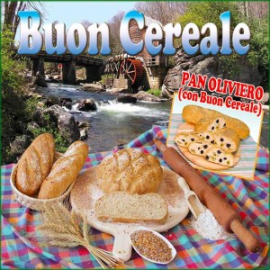 buon-cereale